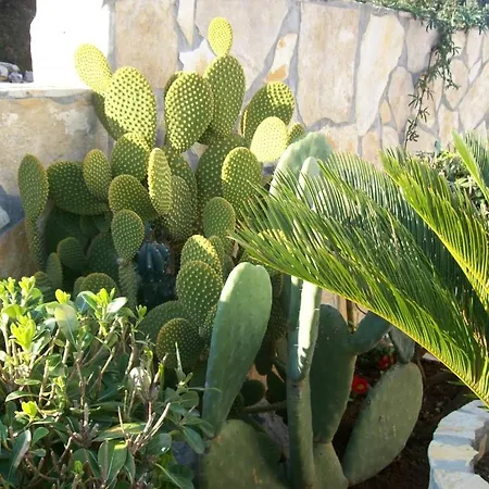 In With Balcony, Air Condition, Wifi, Washing Machine Apartamento *